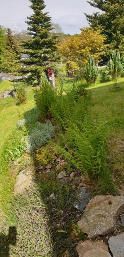 Bungalow Hugo Oppach Bagian luar foto